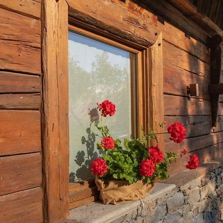 Casa Vacanze Petit Haury - Alloggi Ad Uso Turistico Vda Arvier N 0039 E N 0040 - Zewnętrze zdjęcie